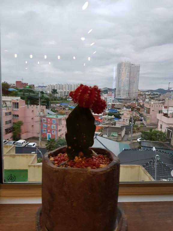 木浦市 白色风车旅馆酒店 外观 照片